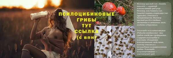 PSILOCYBIN Вязники